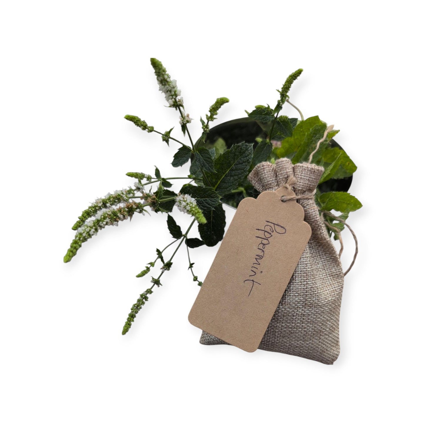 Prosper + Thrive, Complete Prosperity Spell/Meditation/Wellness Kit for Wealth, Success & Abundant Blessings, Mindfulness