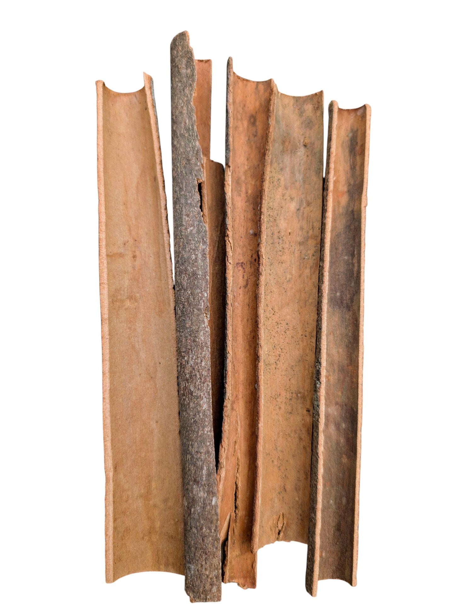 Prosper + Thrive, Complete Prosperity Spell/Meditation/Wellness Kit for Wealth, Success & Abundant Blessings, Mindfulness